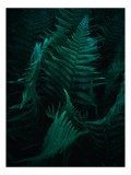 Tablou Canvas Frunziș Verde &icirc;n Lumina Dimineții Natură și Calm, 26 x 39 cm, CMCLASS
