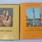 2 VOLUME diapozitive RSR - Istoria Romaniei