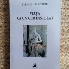 Stefan Ilie Ovidiu - Viata ca un cer instelat (2014)