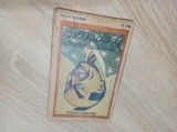 Yorimoto Tashi - FII ENERGIC ! ARTA DE A FI ENERGIC, ed.anii 1920 (Bibl.Energia)