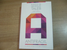 Nassim Nicholas Taleb - Antifragil foto