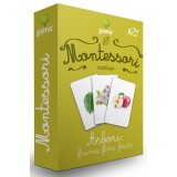 Arbori: Frunze, Flori, Fructe, - Editura Gama