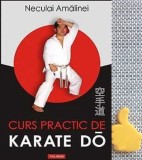 Curs practic de Karate Do Neculai Amalinei