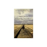 Chasing Fireflies: A Novel of Discovery