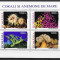 Rom&acirc;nia 2002 - Corali si anemone de mare, bloc de 4 marci, MNH, LP 1577a