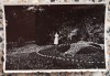 Domnisoare in gradina botanica, posibil Cluj// fotografie, Romania 1900 - 1950, Portrete