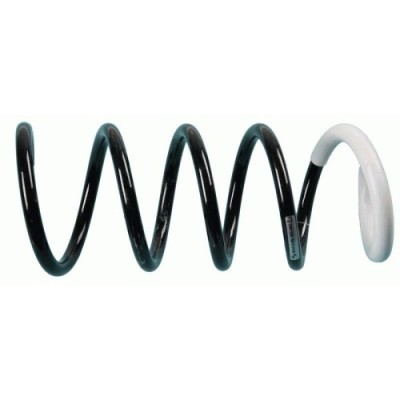 Sachs Arc spiral foto