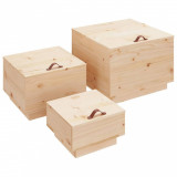 Cutii de depozitare cu capace, 3 buc., lemn masiv de pin