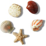 Jibbitz Crocs She Sells Seashells 5 Pack, Crocs Jibbitz