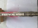 Victor Iancu - Drum de piatra