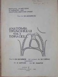 Anatomia Trunchiului Vol. 1 Toracele - Gh. Adomnicai, IMF Iasi 1978, Medicina, Romana, 441 pagini