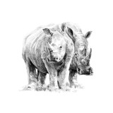 Crochiu incepatori-Rinoceri 22x29 cm, Jad