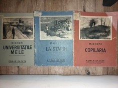 Universitatile mele La stapan Copilaria 1, 2, 3- M. Gorki Roman gazeta