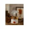 Odorizant de camera spray Caramel