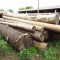 Material lemnos: Lot 3 - 53,73 m3 lemn rotund esen?a ra?inoasa, specia molid