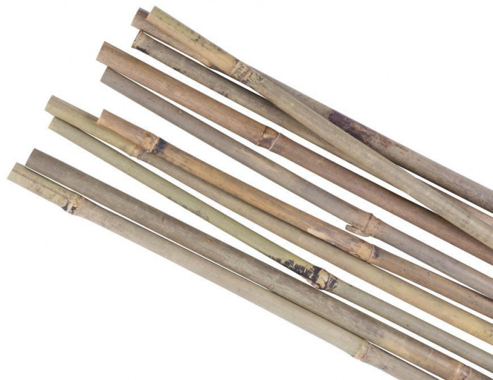 Tijă de grădină KBT 1200/12-14 mm, 10 buc, bambus, suport pentru plante
