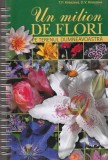 T.P. Kneazeva, D.V. Kneazeva - Un milion de flori pe terenul dumneavoastra