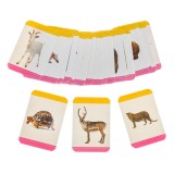 Cartonașe educative mini cu animale, Set 48 buc, CMCLASS