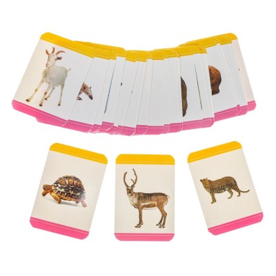 Cartonașe educative mini cu animale, Set 48 buc, CMCLASS foto