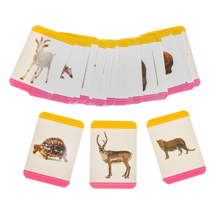 Cartonașe educative mini cu animale, Set 48 buc, CMCLASS