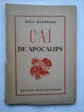CAI DE APOCALIPS - Radu BOUREANU