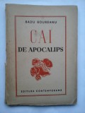 Cumpara ieftin CAI DE APOCALIPS - Radu BOUREANU