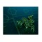 Mouse PAD RAZER, &quot;Goliathus Mobile&quot;, gaming, cauciuc si material textil, 270 x 215 x 1.5 mm, negru si verde, &quot;RZ02-01820200-R3M1&quot;