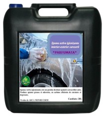 Spuma activa igienizanta pentru interior-exterior caroserie PARFUMATA Arca Lux,