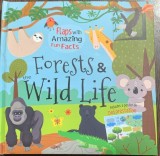 Forests&amp;wild life (Paduri si viata salbatica -carte cu ferestre, in engleza)