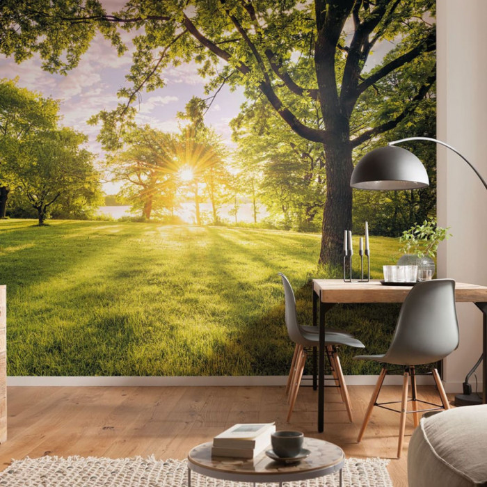 Komar Fototapet mural &quot;Golden Moment&quot;, 400x250 cm