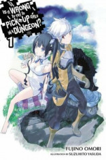 Is It Wrong to Try to Pick Up Girls in a Dungeon&amp;#039;, Vol. 1 (Light Novel), Paperback/Fujino Omori foto