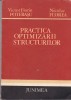 AS - VICTOR FLORIN - PRACTICA OPTIMIZARII STRUCTURILOR
