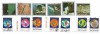 Umm al Qiwain - Marci diverse (13 buc.), 1972 - obliterate, Asia, Spatiu