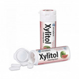 Guma de mestecat watermelon fara zahar Xylitol, 30 g, Hager, Miradent