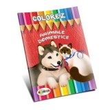 Cumpara ieftin Colorez - Animale domestice