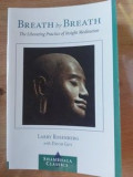 Breath by breath The Liberating Practice of Insight Meditation- Larry Rosenberg