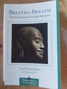 Breath by breath The Liberating Practice of Insight Meditation- Larry Rosenberg foto