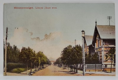 SIGHETU MARMATIEI , STRADA LONYAI JANOS , CARTE POSTALA , 1915 foto