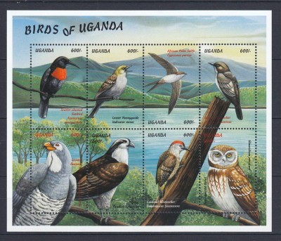 Uganda - PASARI din UGANDA - BL - MNH foto