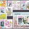 DB1 Ras al Khaima Sapporo 1972 Olimpiada 6 v. + SS MNH