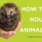 How to Hold Animals