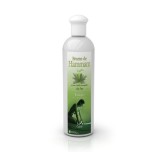 Esenta Camylle pentru bai de aburi cu aroma de pin 250 ml, Waincris