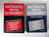 Matematici pentru Economisti - manual ASE 2 volume: manual + culegere probleme