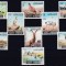 DB1 Fauna Pasari Capre Iordania 9 v. MNH