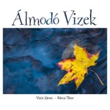 &Aacute;lmod&oacute; vizek - Dr. Viz&uacute;r J&aacute;nos