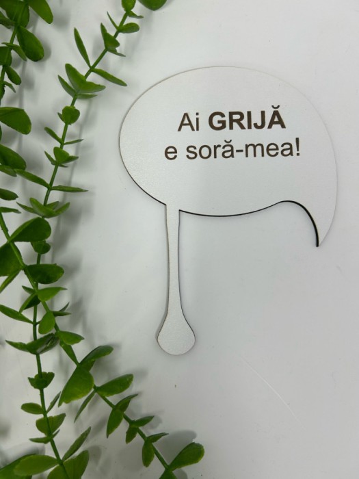 Props cu textul ,,Ai grija e sora-mea din MDF