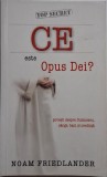 Ce este Opus Dei? Povesti despre Dumnezeu, sange, bani si credinta &ndash; Noam Friedlander