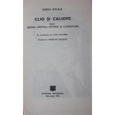 CLIO SI CALIOPE SAU DESPRE LIMITELE ISTORIEI SI LITERATURII