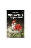 Cumpara ieftin Metamorfoză la marginea cerului - Paperback brosat - Mathias Malzieu - Philobia