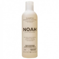 Sampon natural regenerant cu ulei de argan pentru par foarte uscat si tratat (1.4), 250ml, Noah